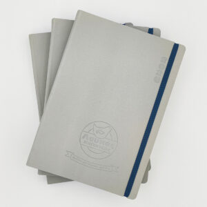 Ημερήσιες ατζέντες